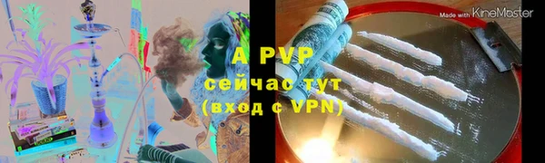 первитин Богданович