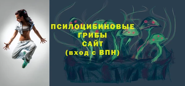 СК Богородицк