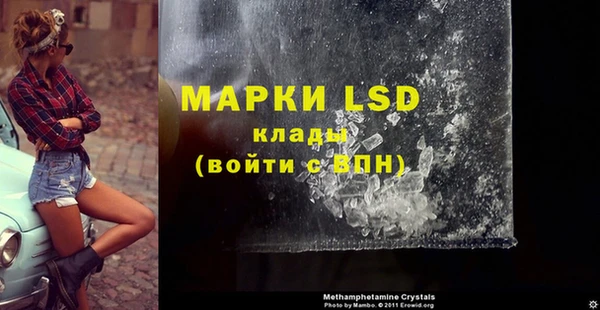 стаф Баксан