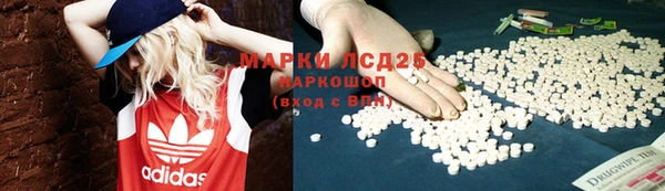 первитин Богданович