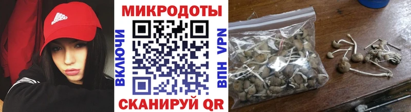 Галлюциногенные грибы Psilocybe  цена наркотик  Беломорск 